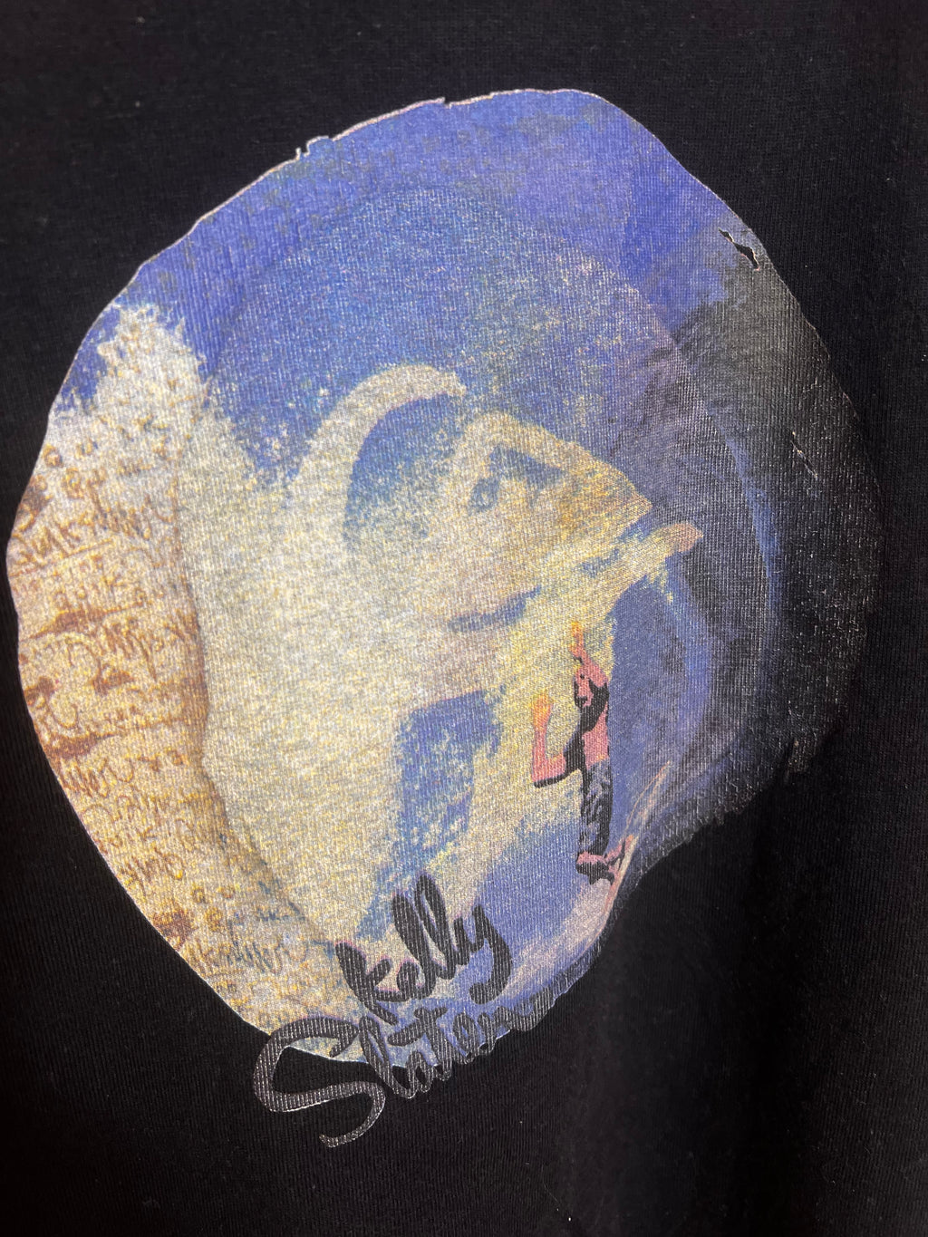 Quiksilver Kelly Slater Tee (L)